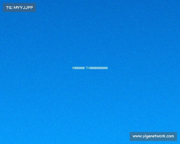 tl电子竞技俱乐部-TH战队剑指巅峰，新赛季启航