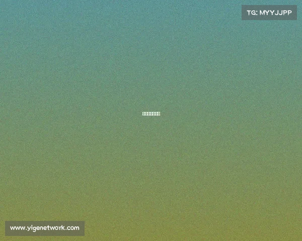 传统媒体的区别