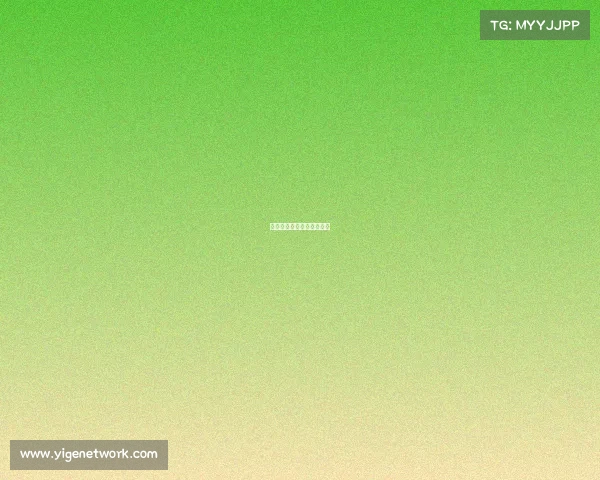 完美电子竞技对战平台下载